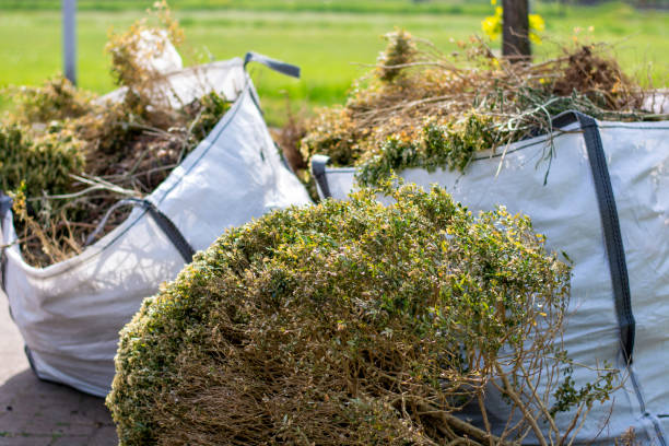 Best Construction Debris Removal  in Risg Sun, IN